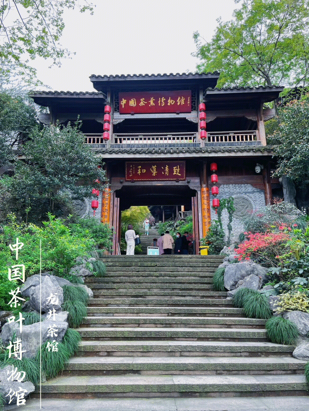 杭州西湖周边中国茶叶博物馆景点自然美