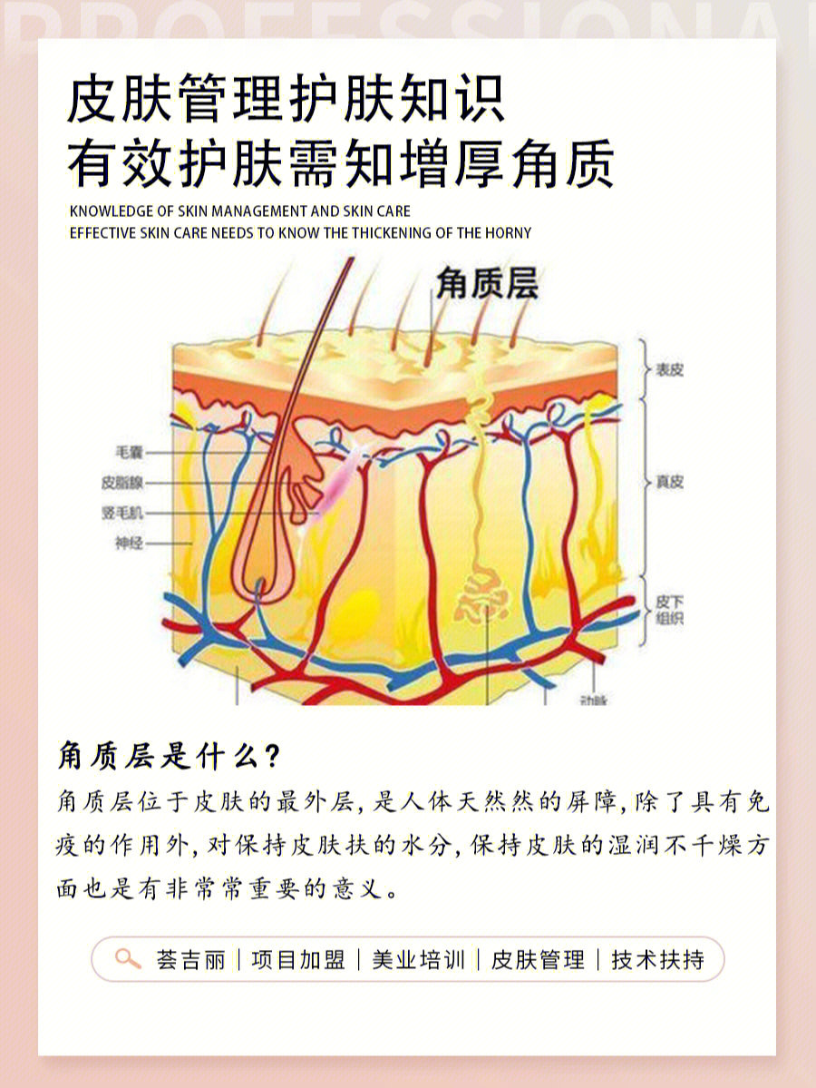 有效护肤需知增厚角质