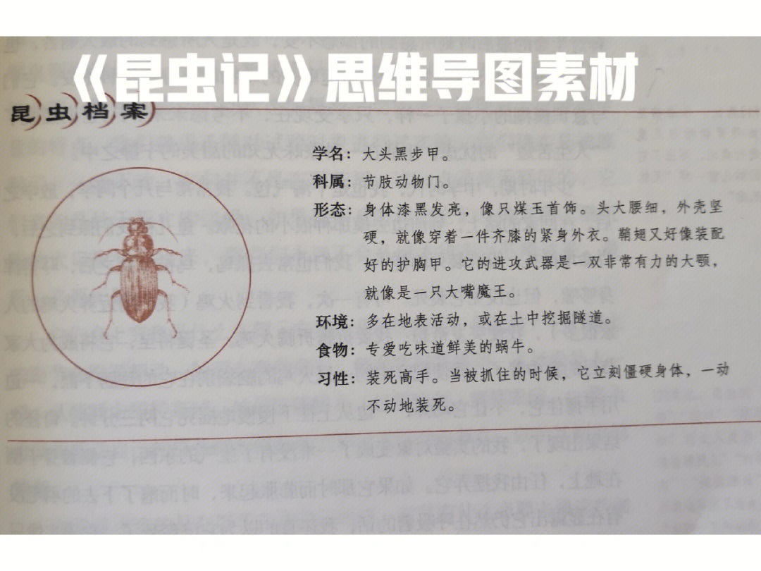 八年级上册必读书目昆虫记思维导图素材