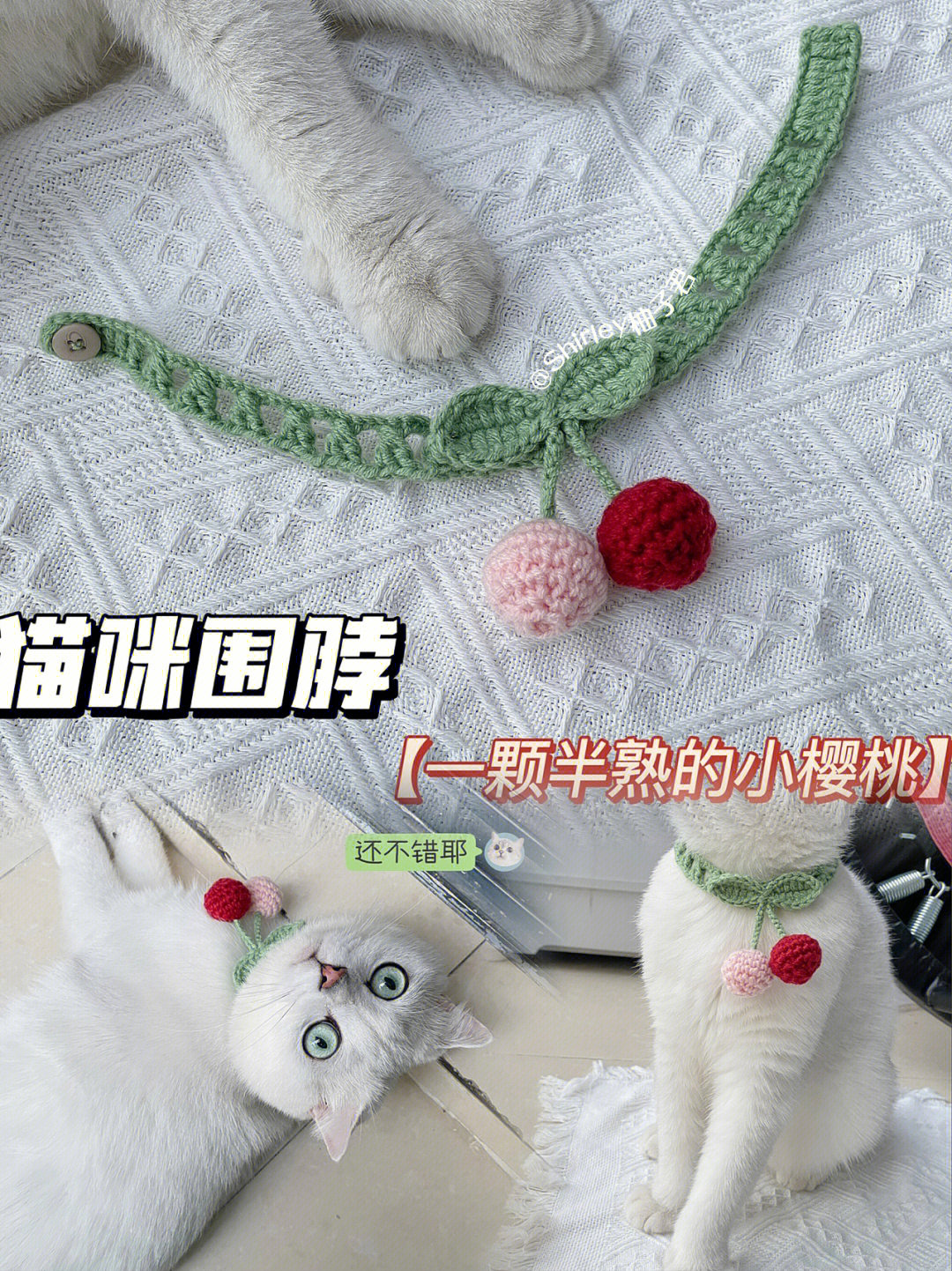 猫咪围脖编织教程简单图片