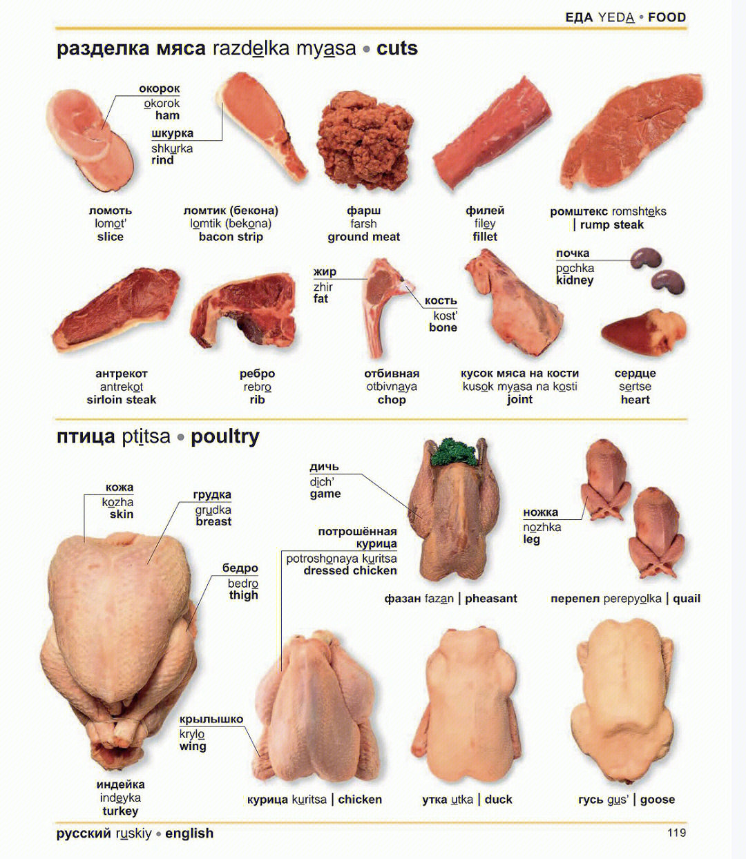 肉类的英语单词图片