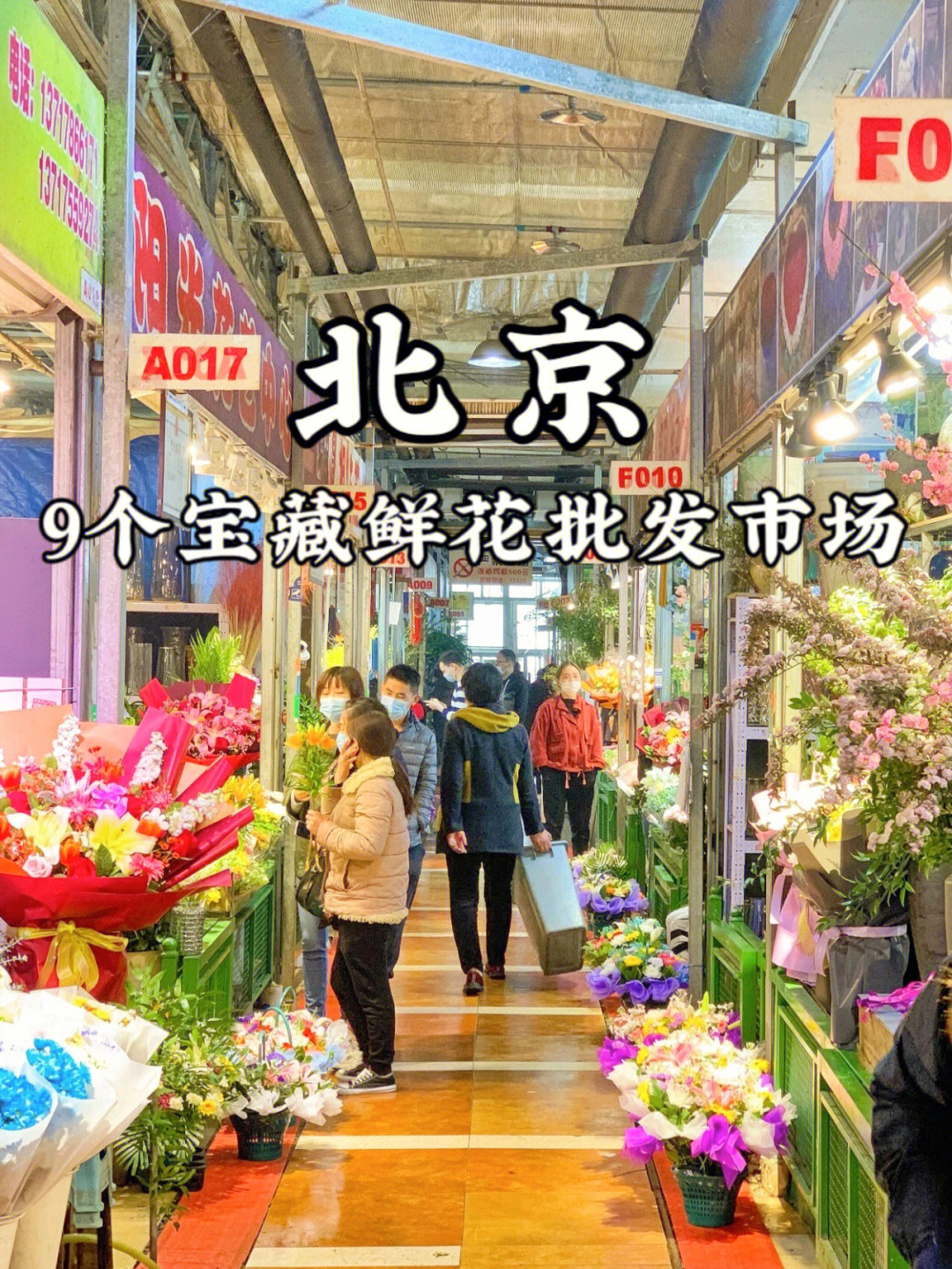 北京宝藏鲜花批发市场合集9个私藏买花地