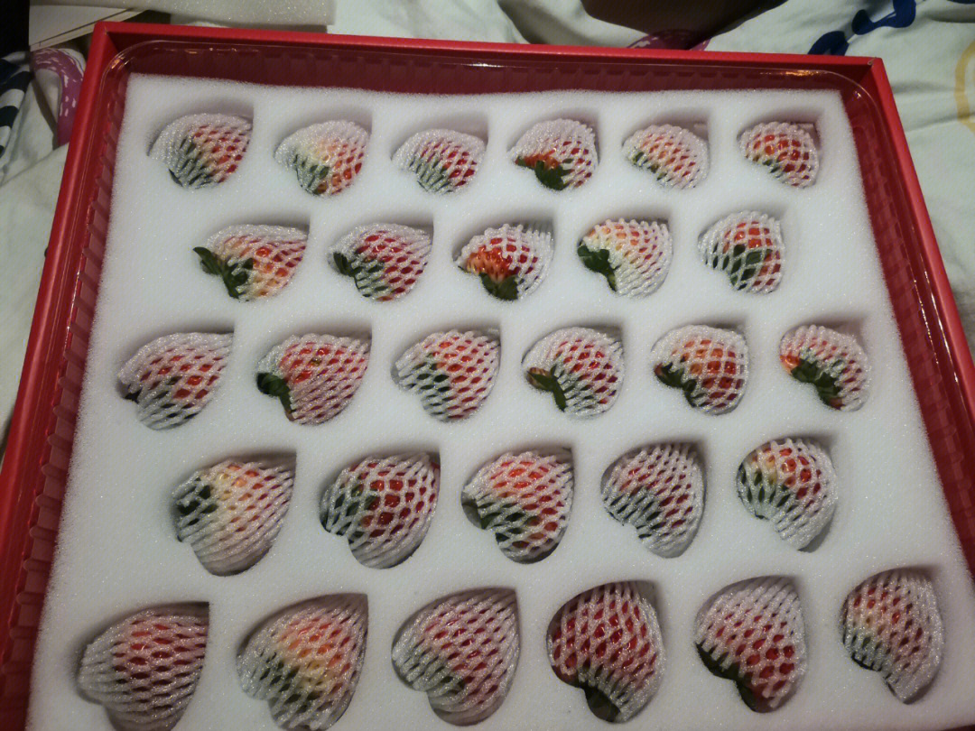 丹东九九草莓 姐妹们,我来种草丹东草莓啦,就是圣诞节快到了嘛,就