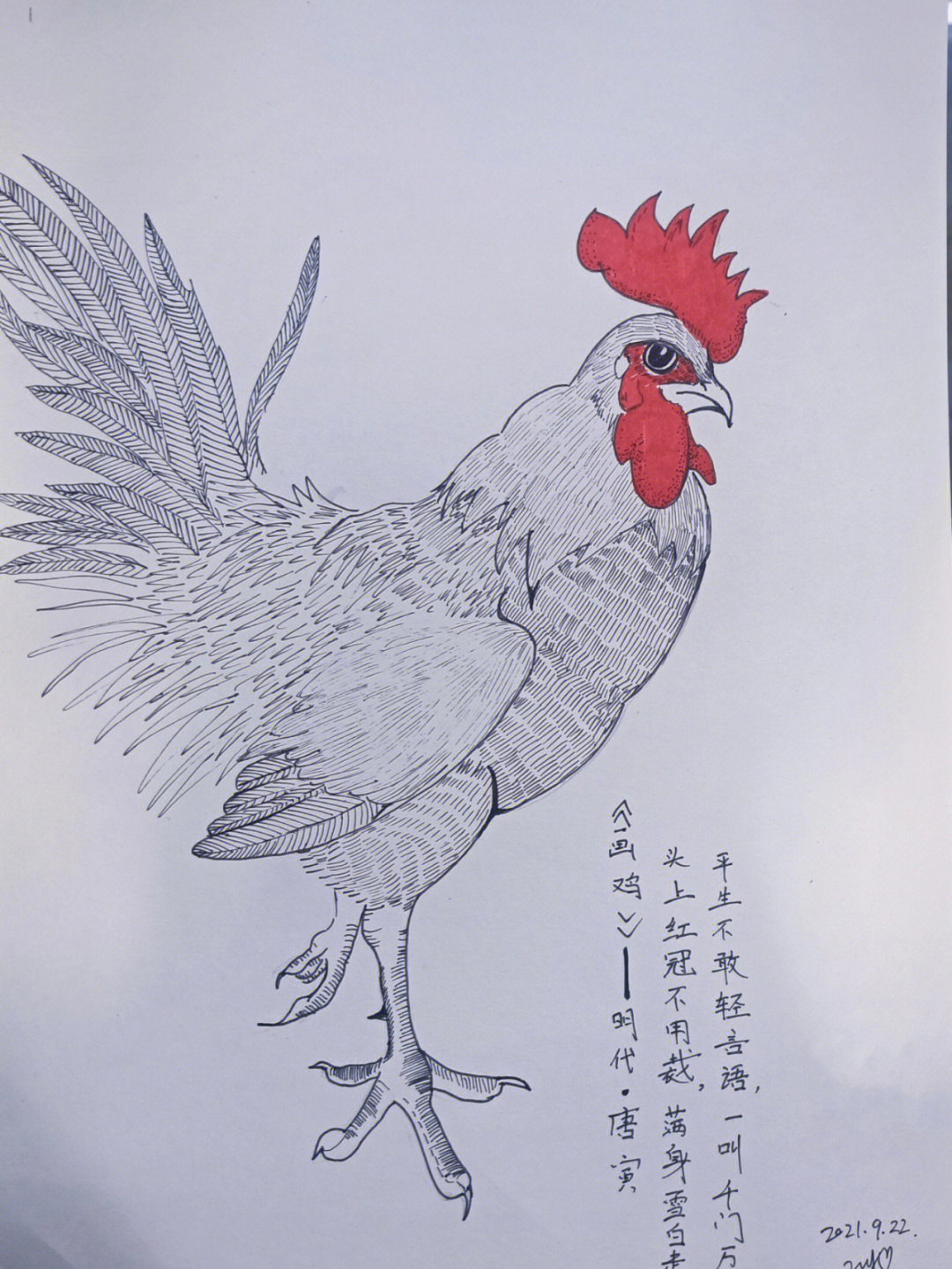 小学生农民画 鸡图片