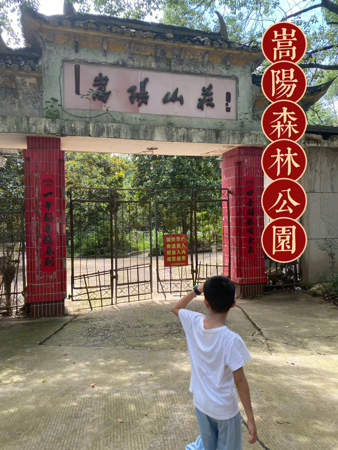 武汉蔡甸嵩阳寺大和尚图片