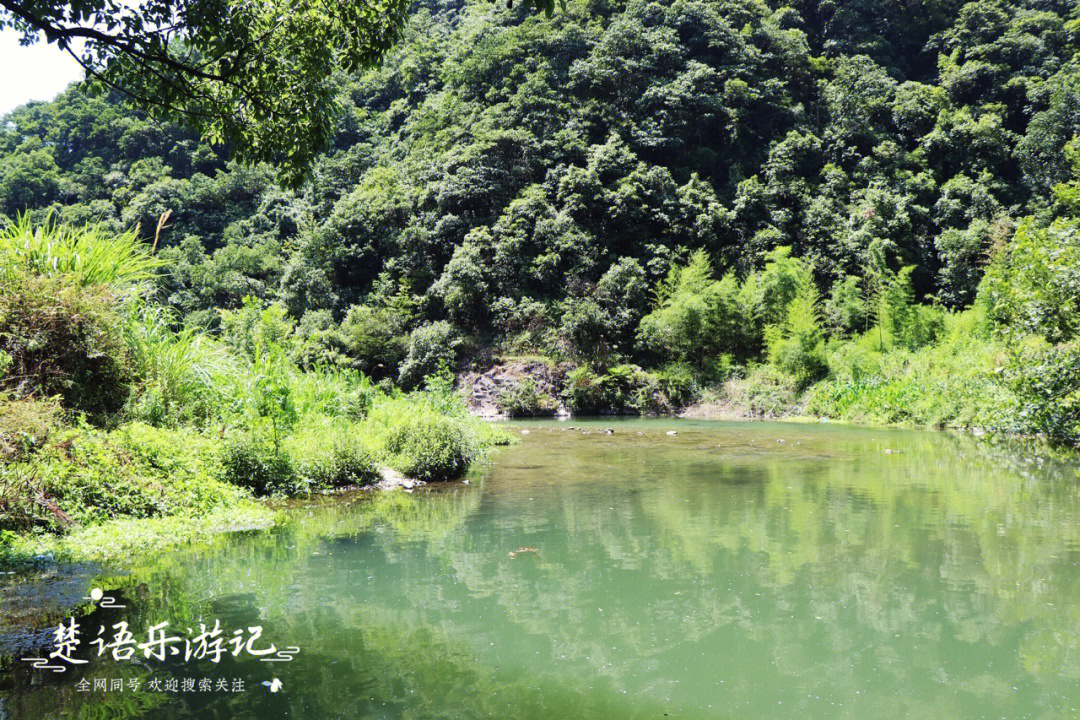 宁海深甽温泉酒店图片