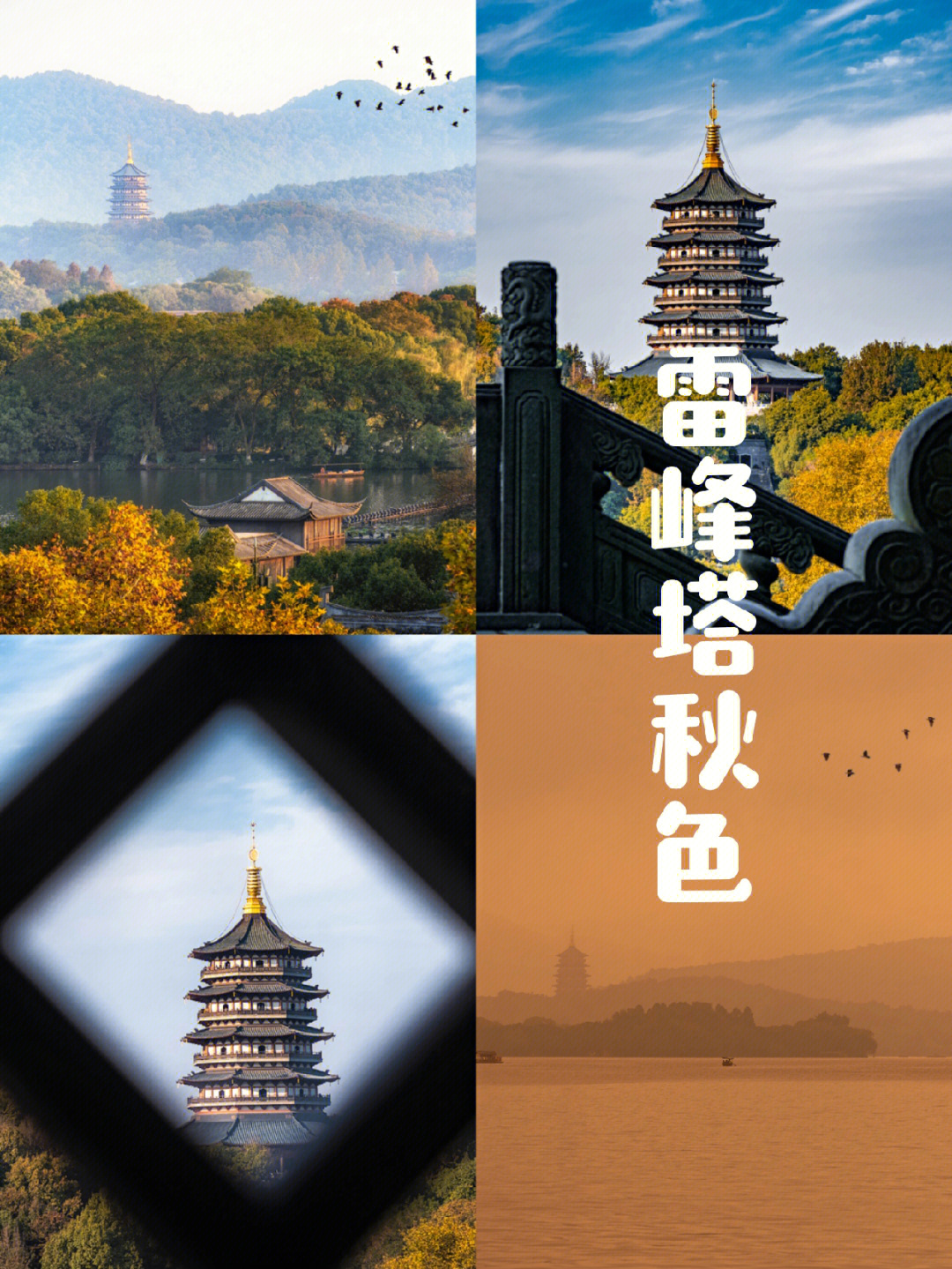 杭州秋色这个季节关于雷峰塔的秋
