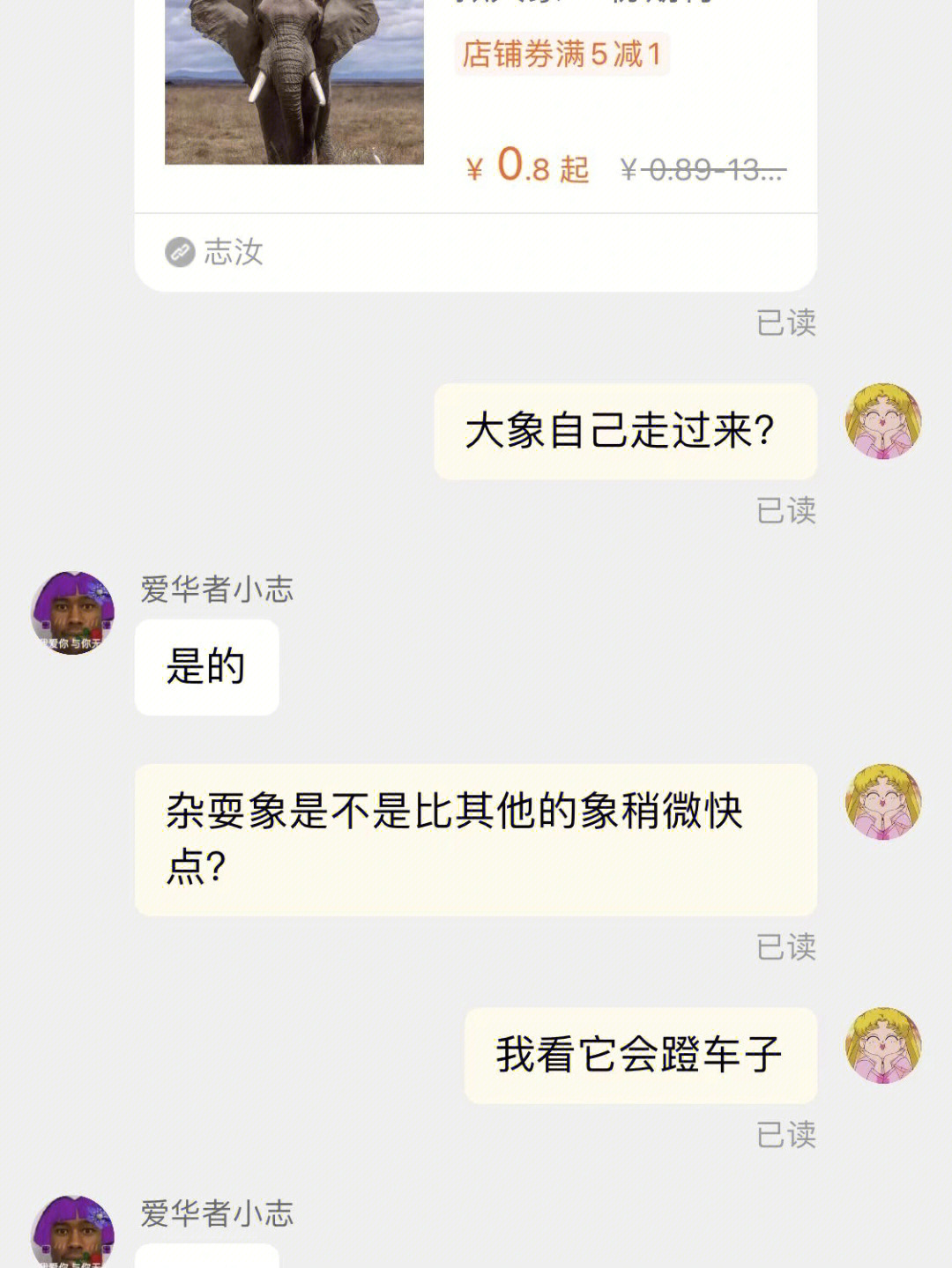 关于我买了一头会杂耍的大象