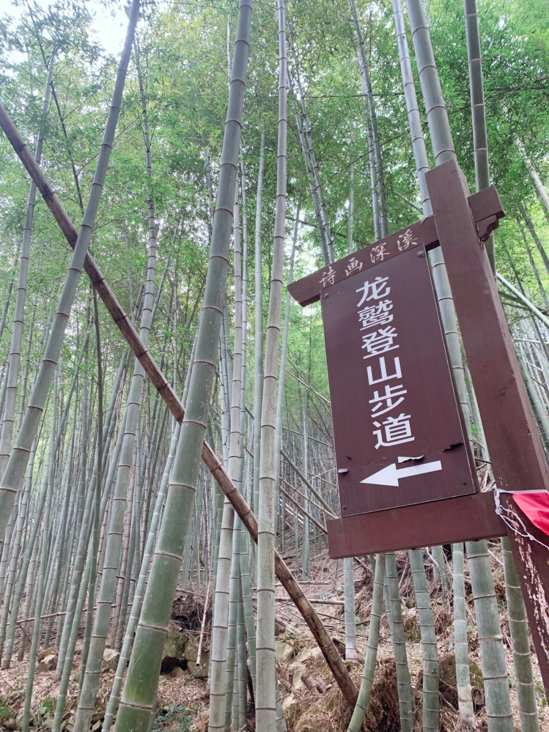 海曙古道图片