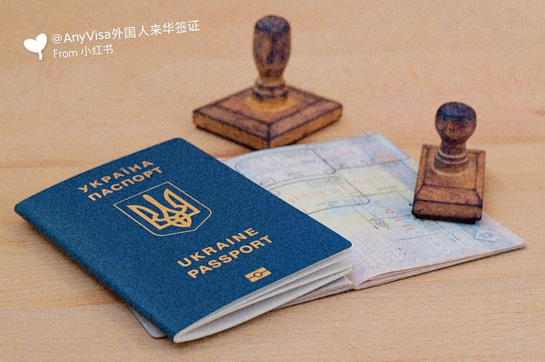 外国护照怎么看懂图解图片