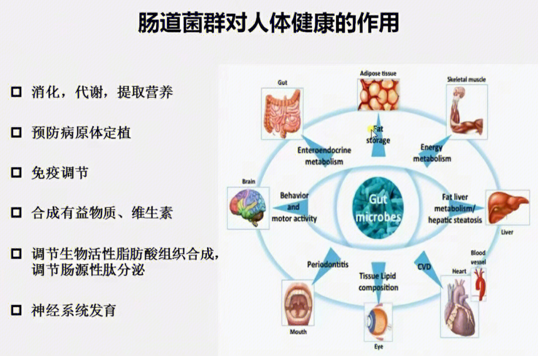 灭活菌的功效图片