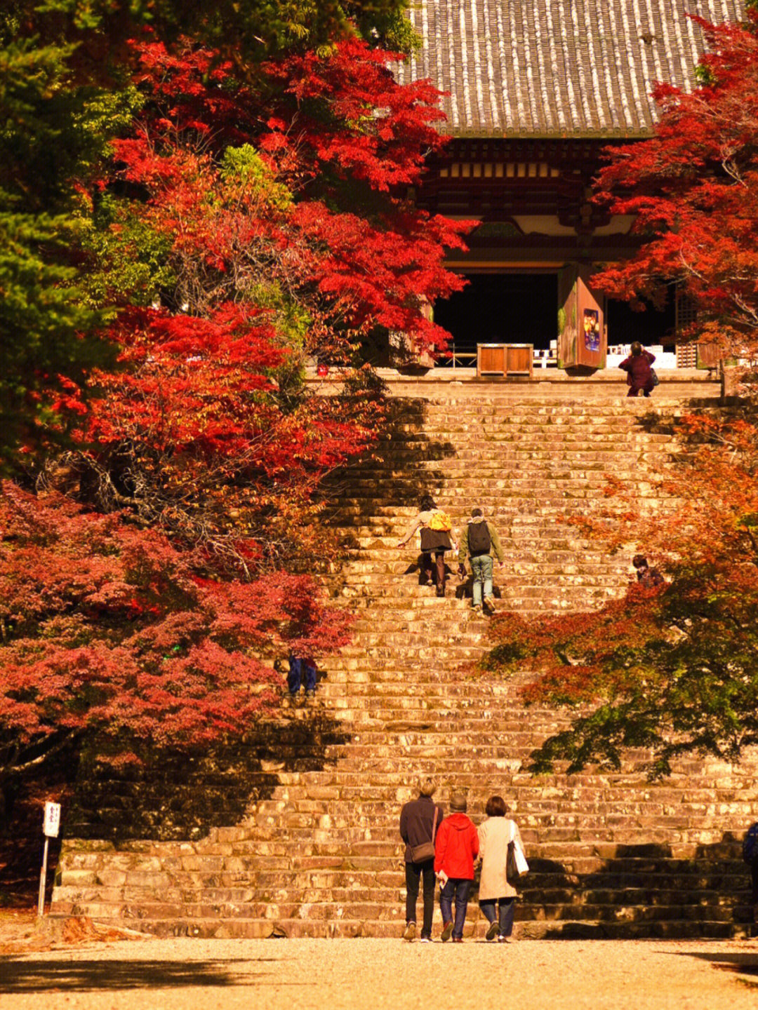 京都美景推荐拍摄京都红叶神护寺