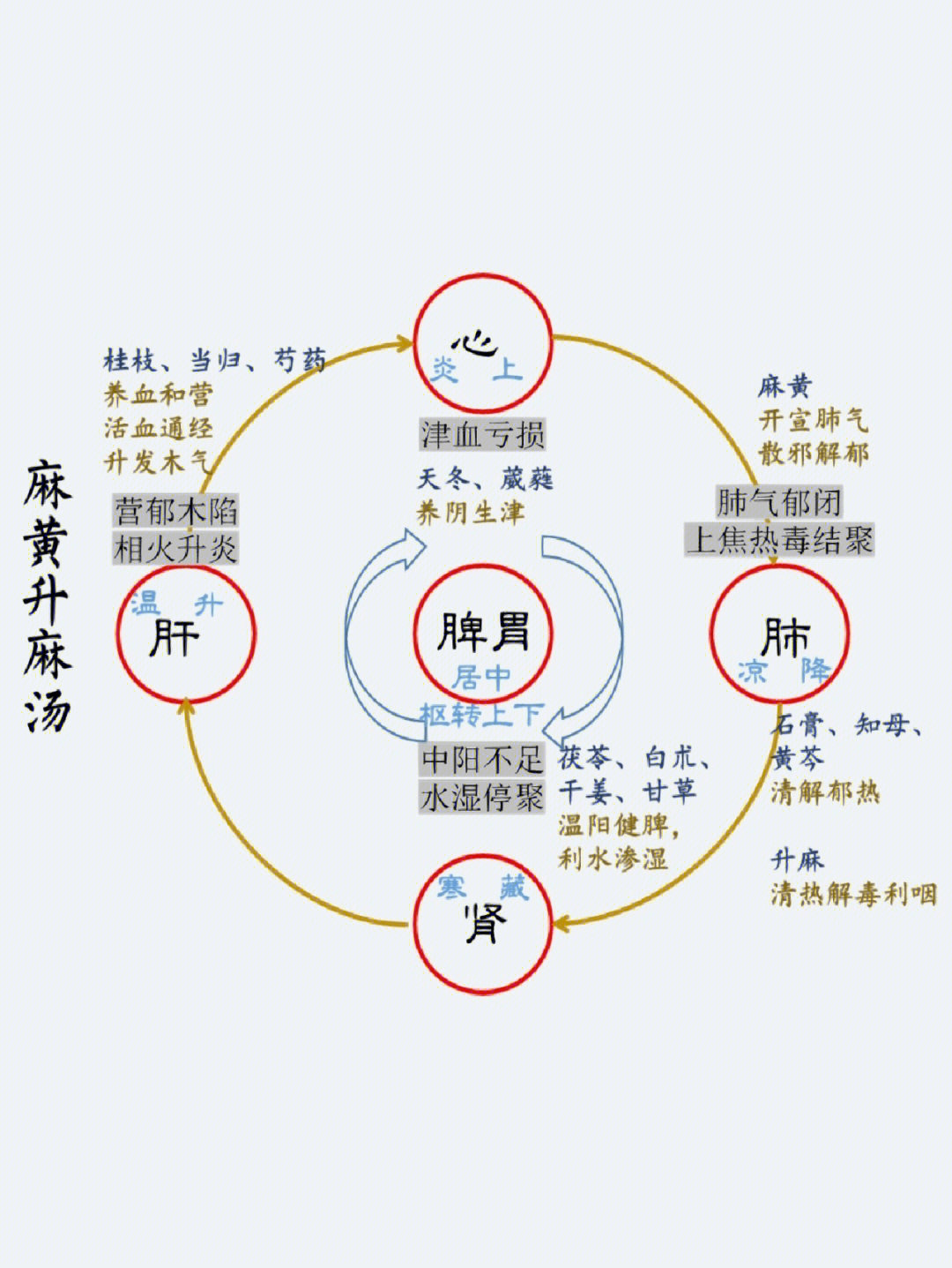 麻黄升麻汤