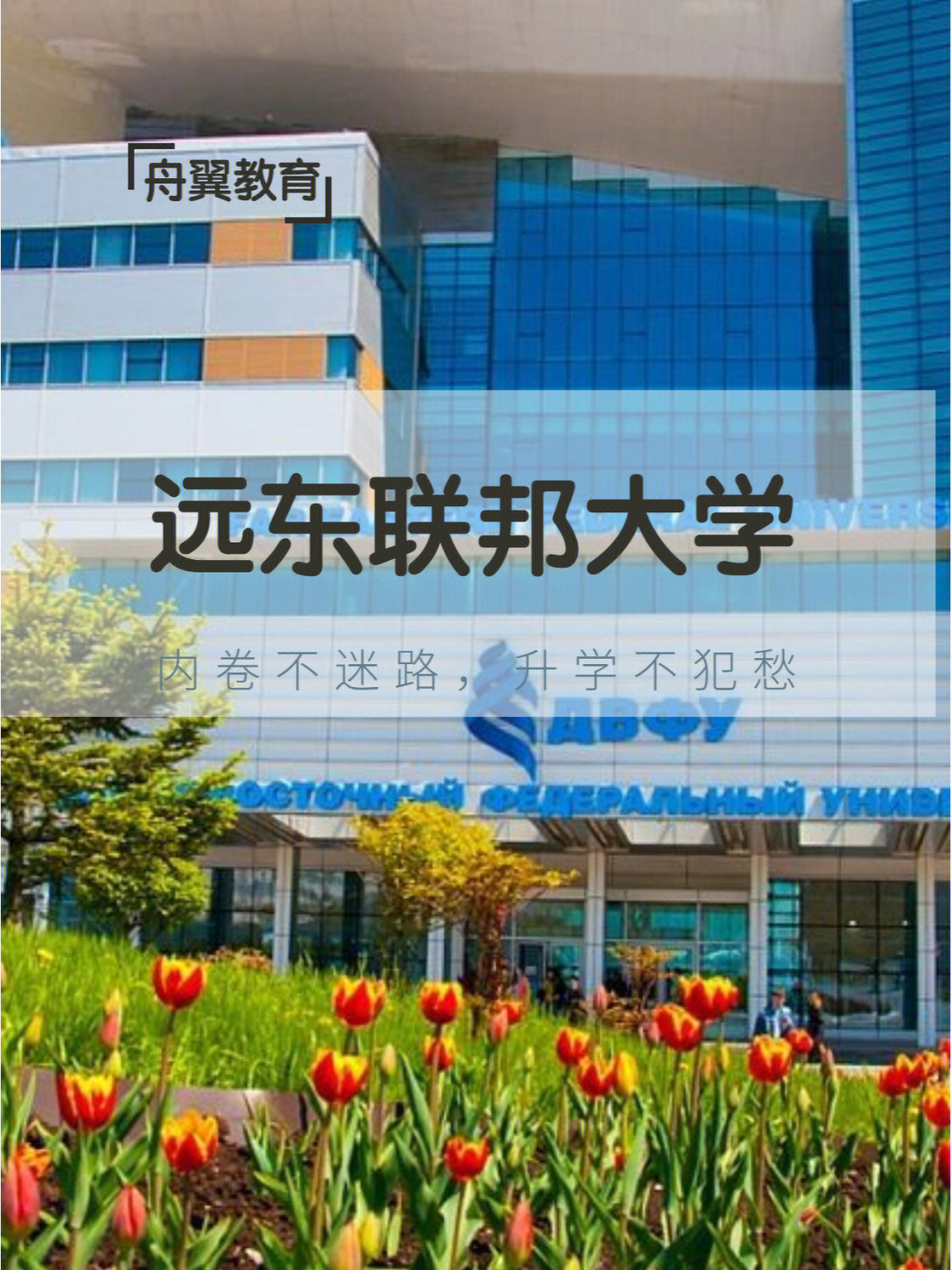 远东联邦国立大学图片