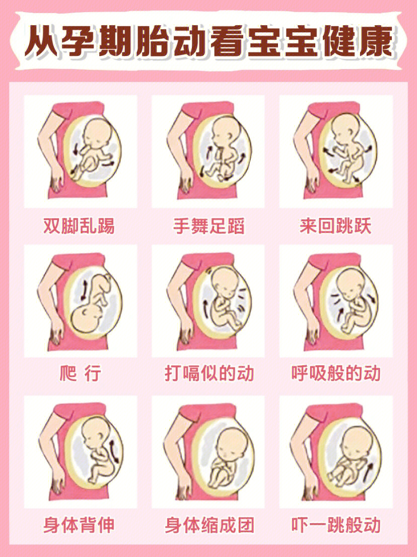 几个月有胎动图片