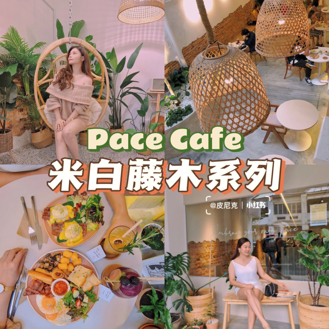 槟城米白藤木系列pacecoffee