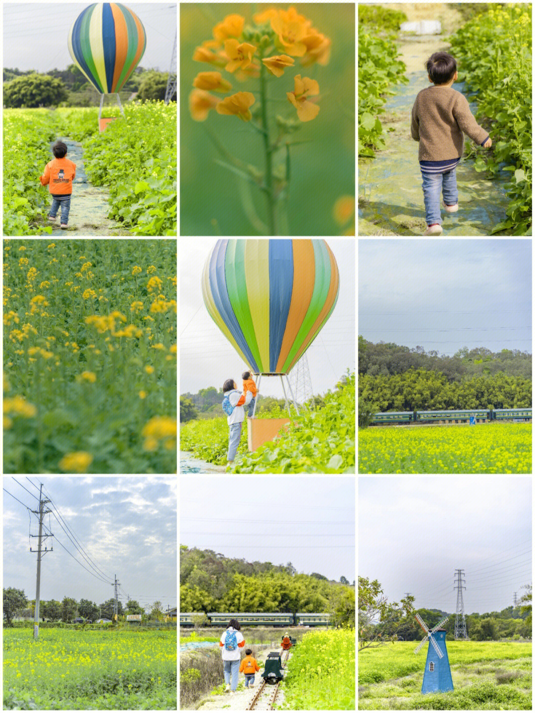 广州油菜花田你们都还没有去过九佛花海吧