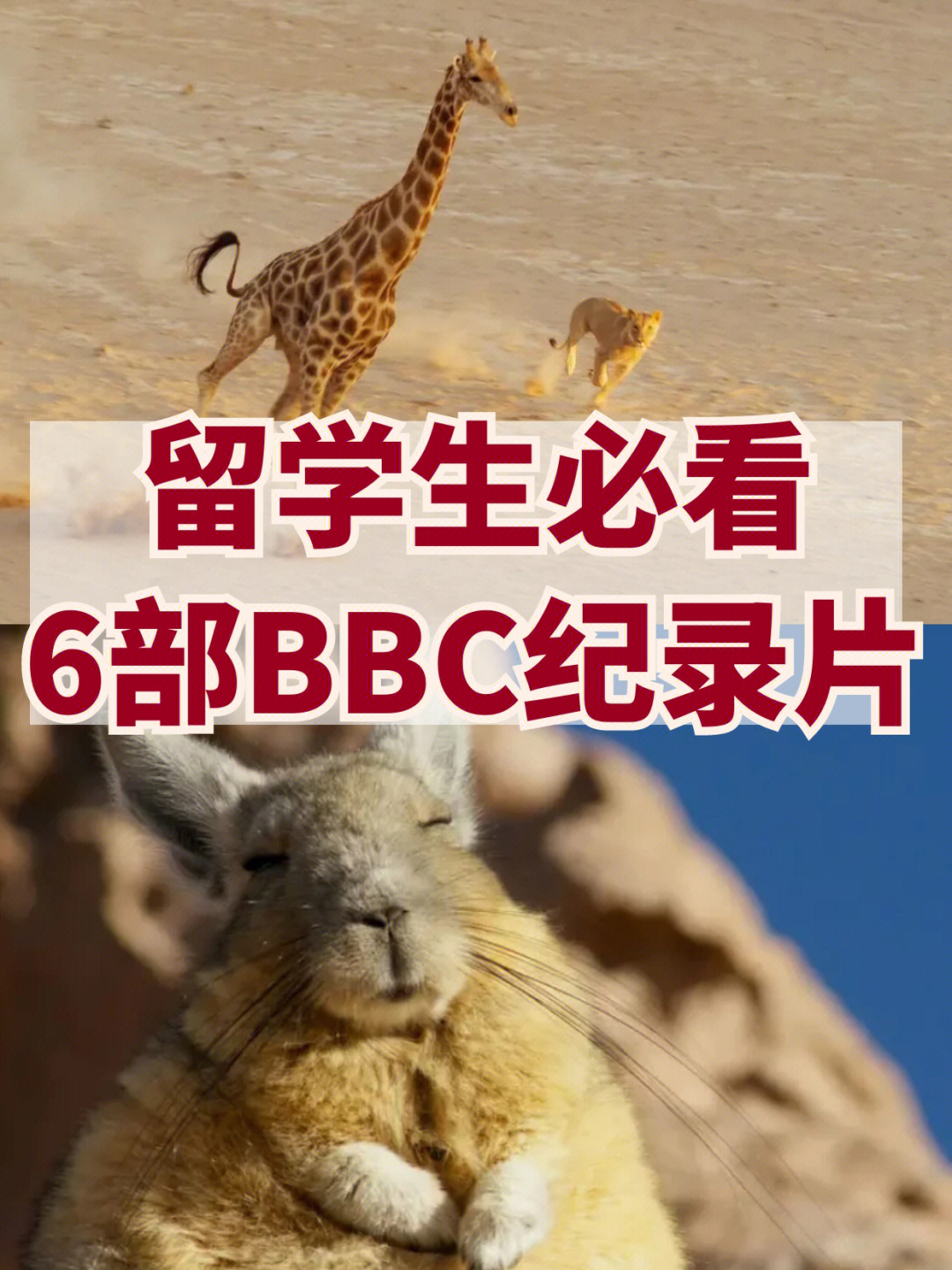 bbc高分纪录片留学生练口语必看