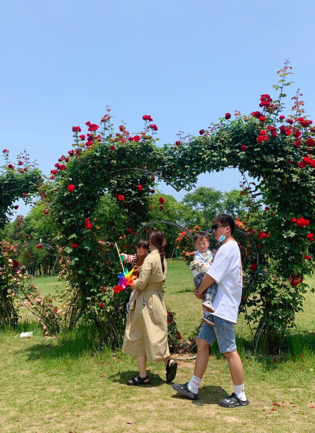 义乌植物园在哪里图片