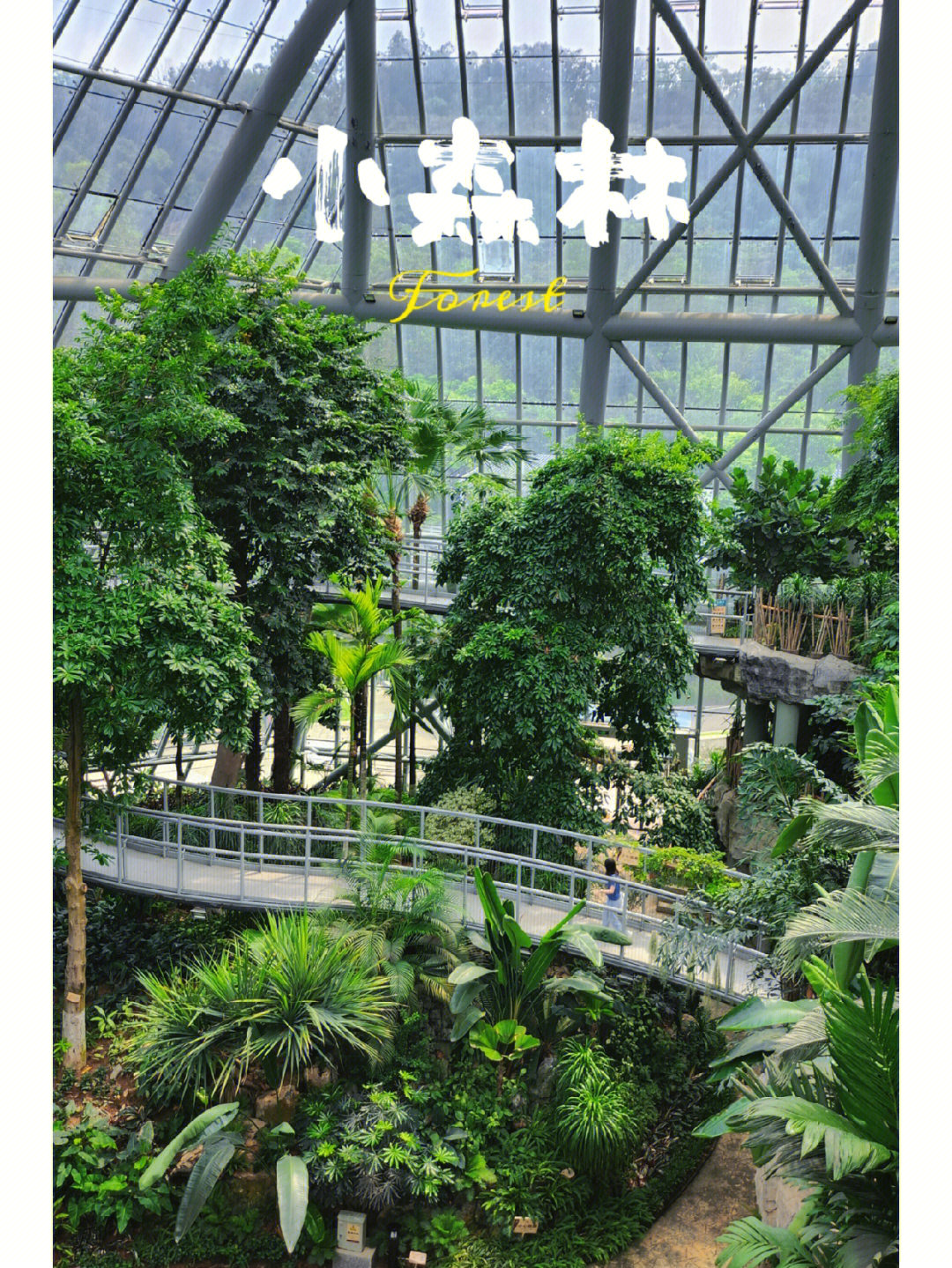 打卡惠州植物园温室花园