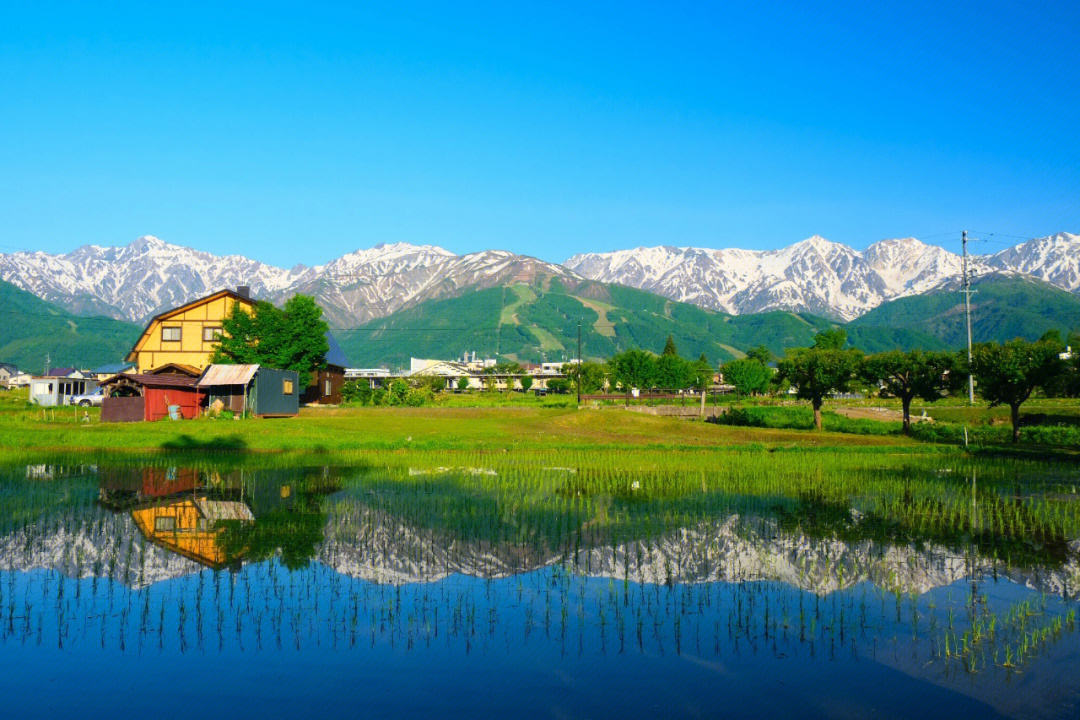 长野县白马村图片