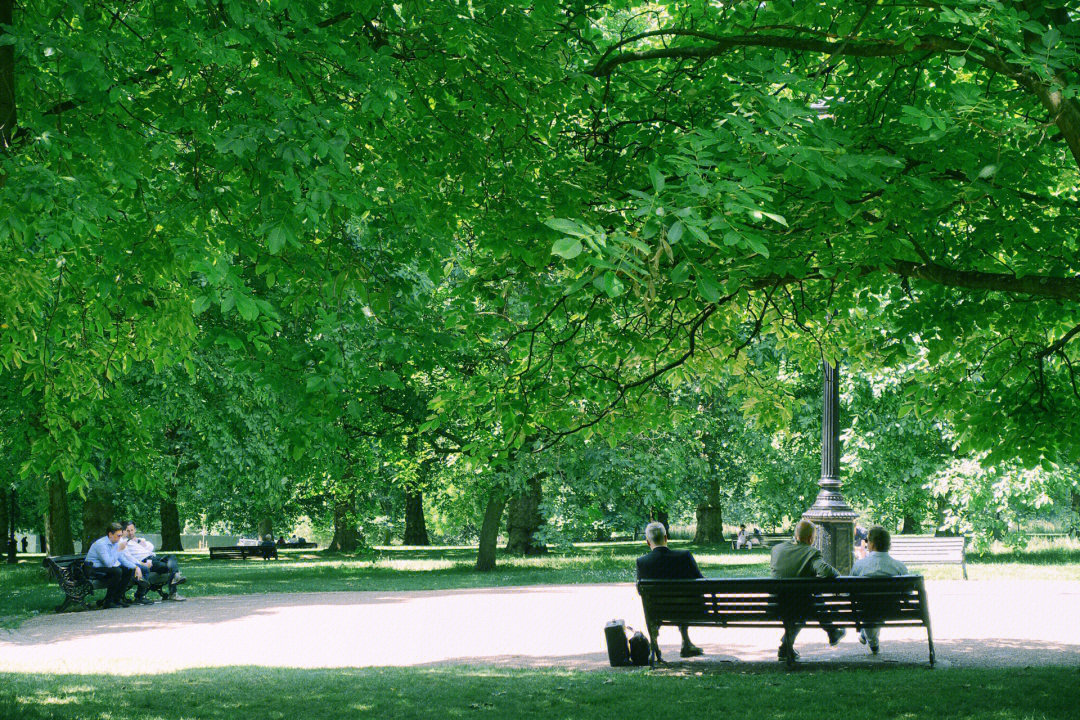 英国greenpark图片