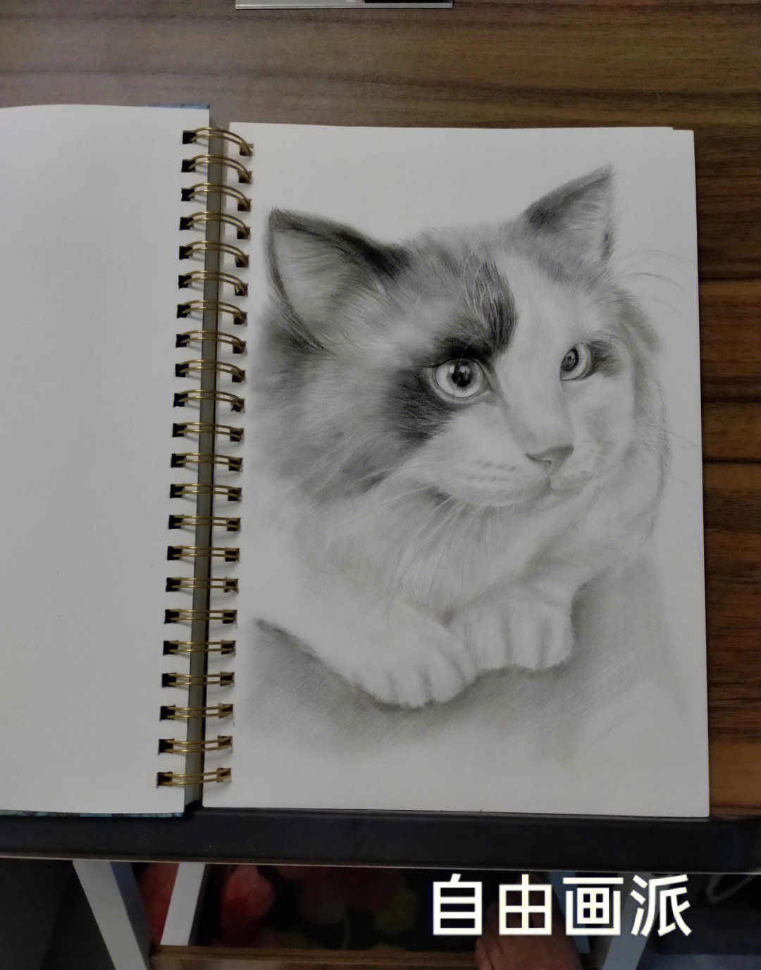 三年级美术画小猫难度图片