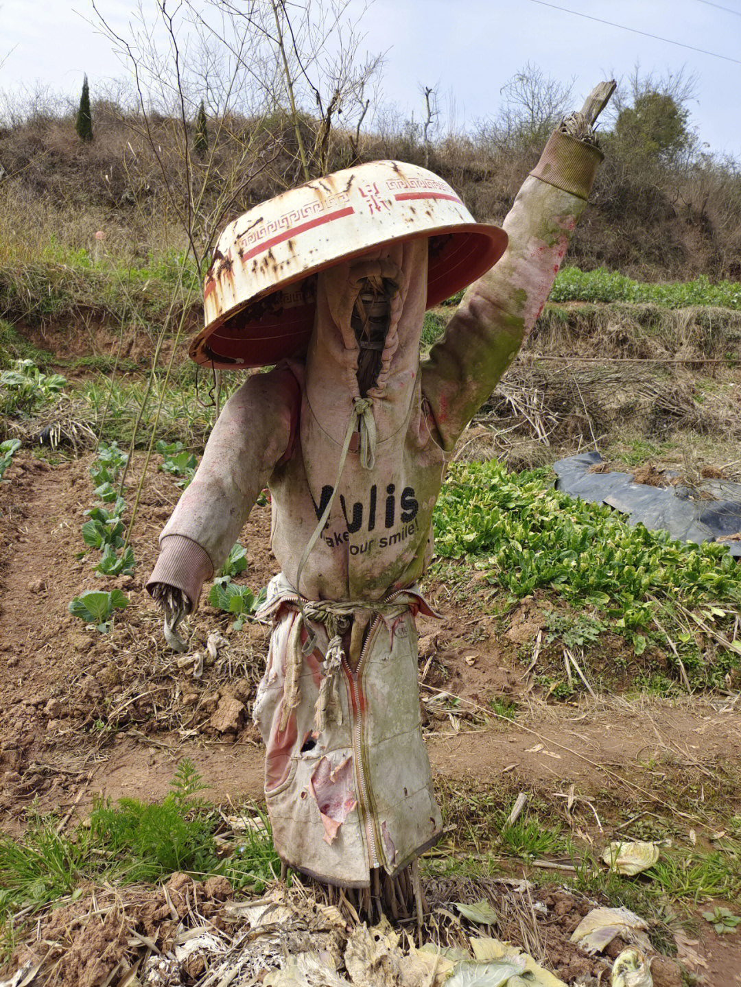 条儿飘飘小鬼  僵尸  在地上的  在树上的都出来了爷爷的菜地整的没把