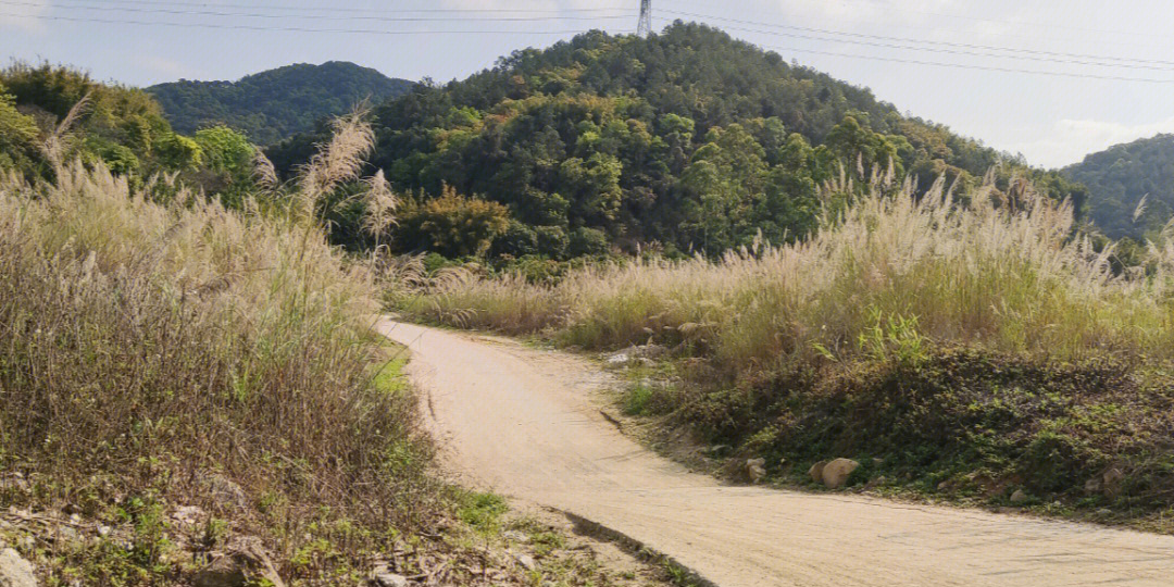 油麻山石牙顶天池麦村