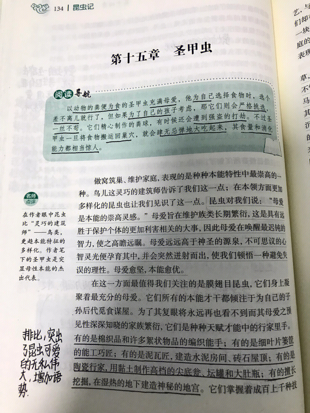 昆虫记圣甲虫批注图片