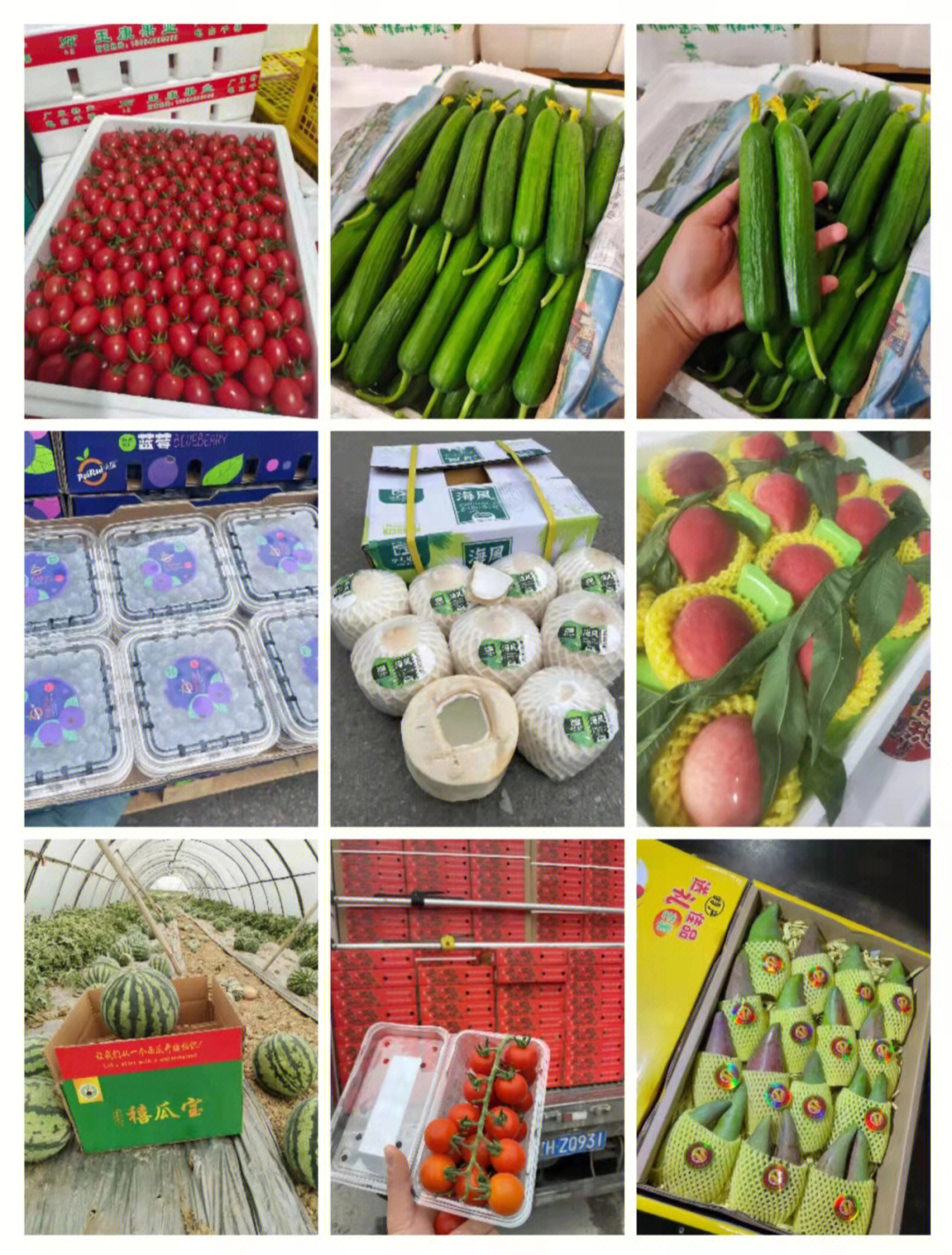 南宁海吉星国际水果批发市场