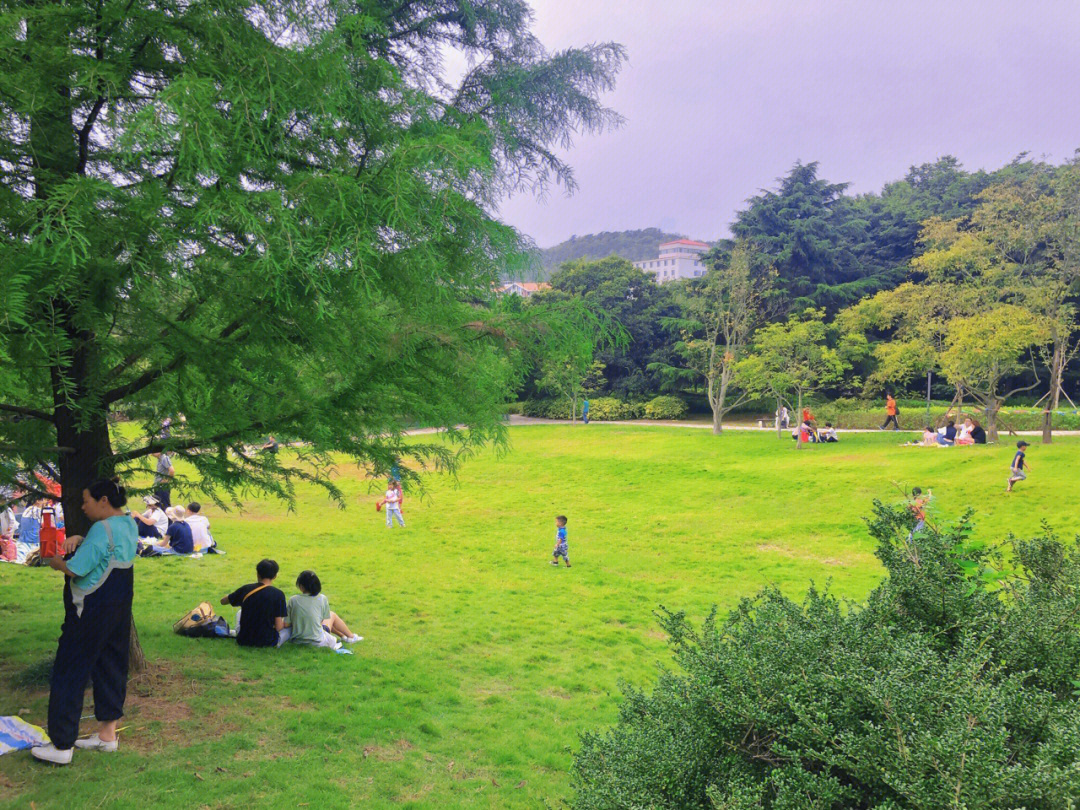 青岛中山公园布局图图片