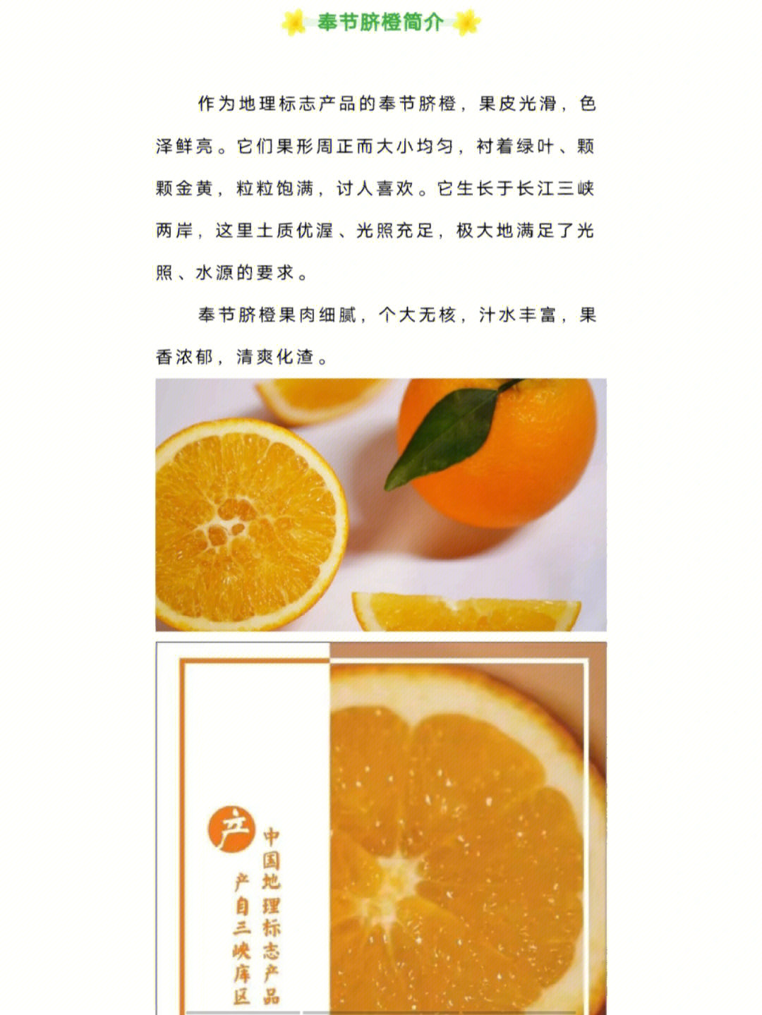 脐橙的功效与作用图片图片