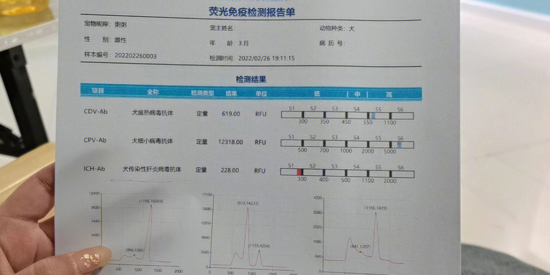 犬瘟抗体s3图片