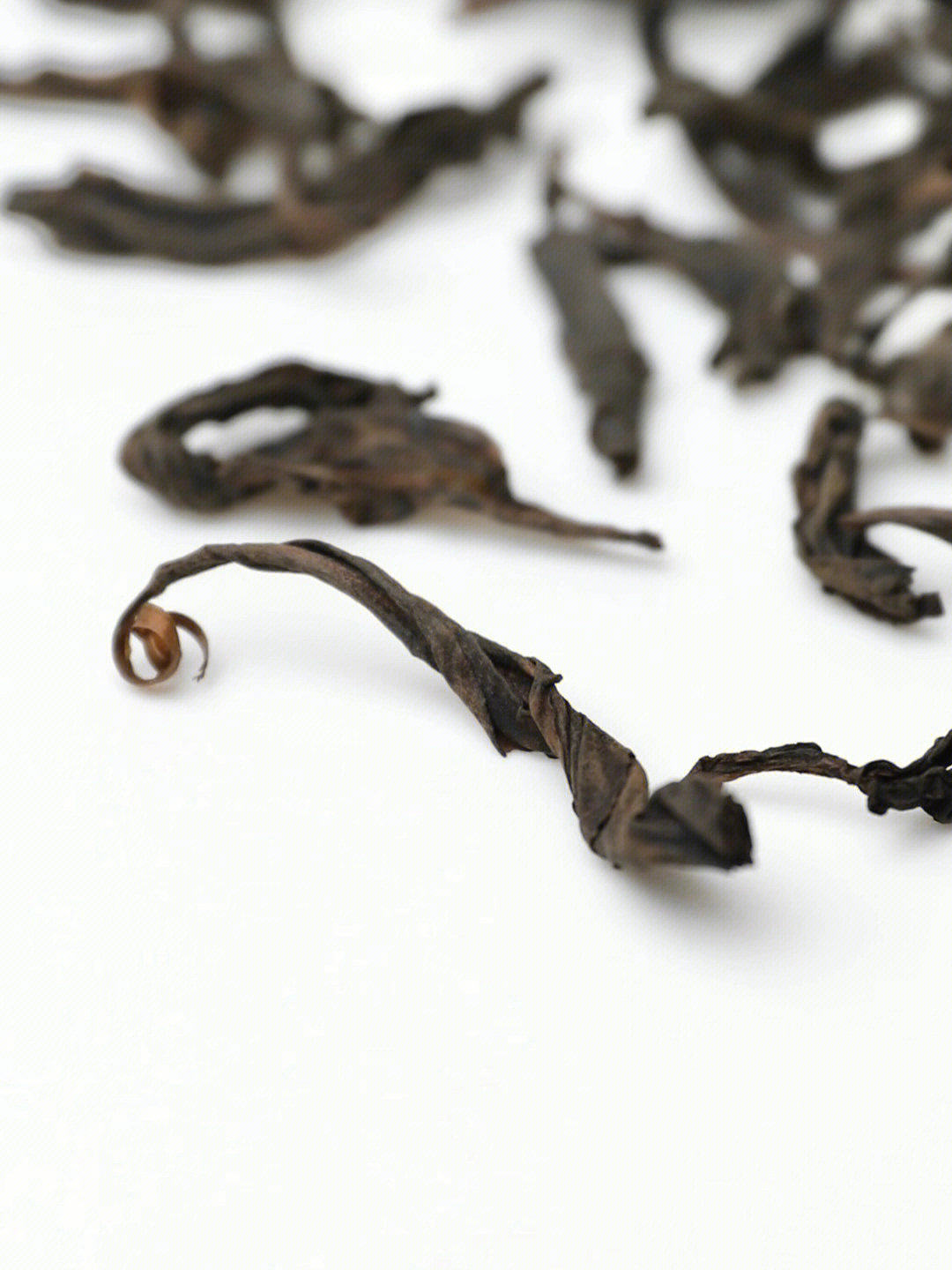 老枞水仙属于什么茶图片