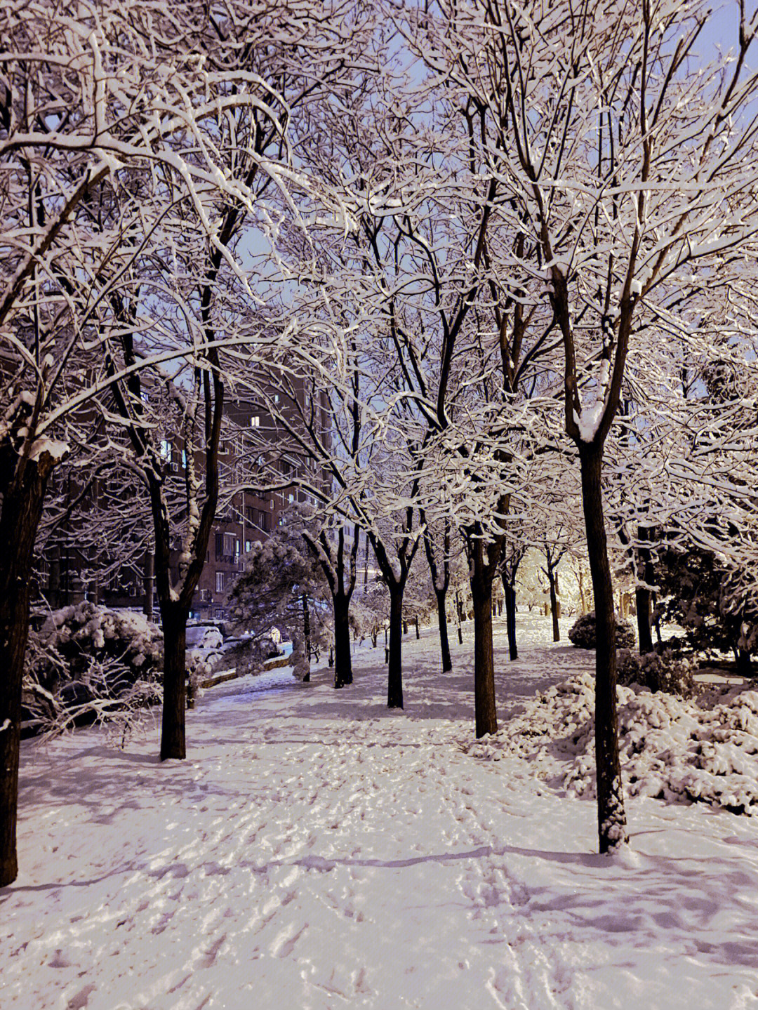 北京三月的雪