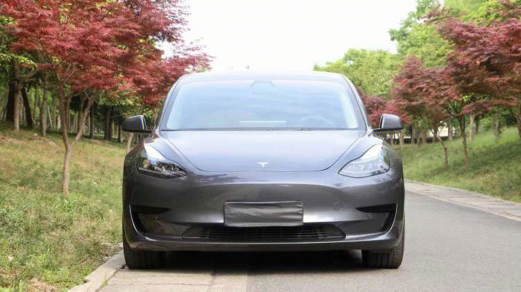 2021款特斯拉model3