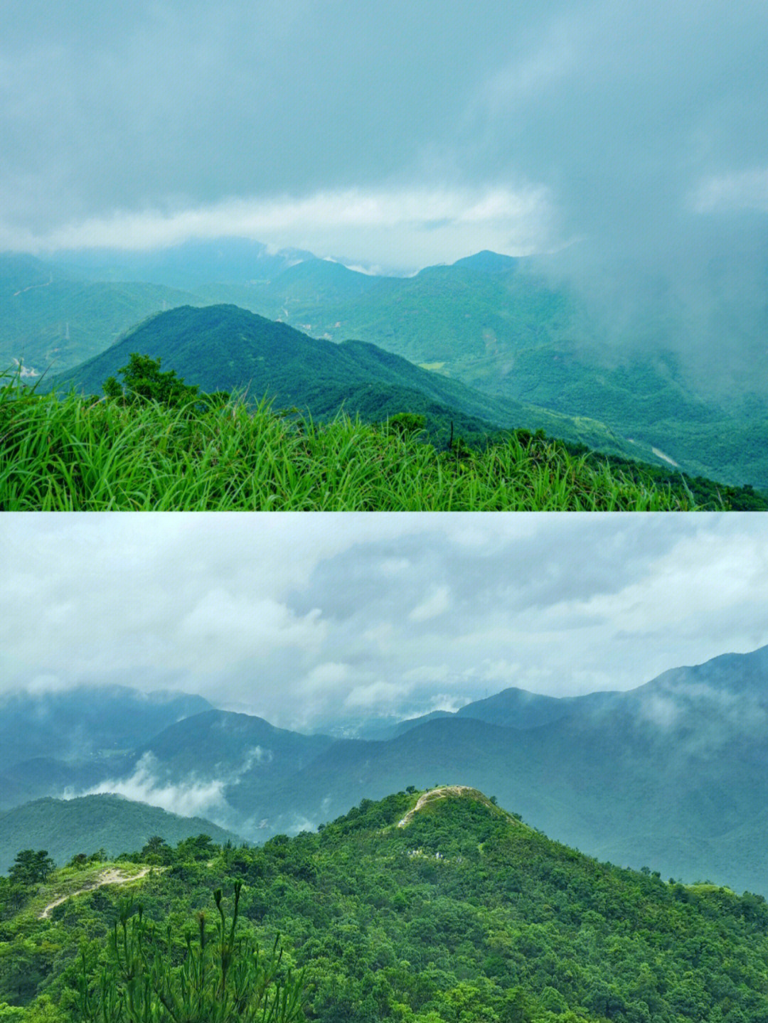 深圳市大南山景点图图片