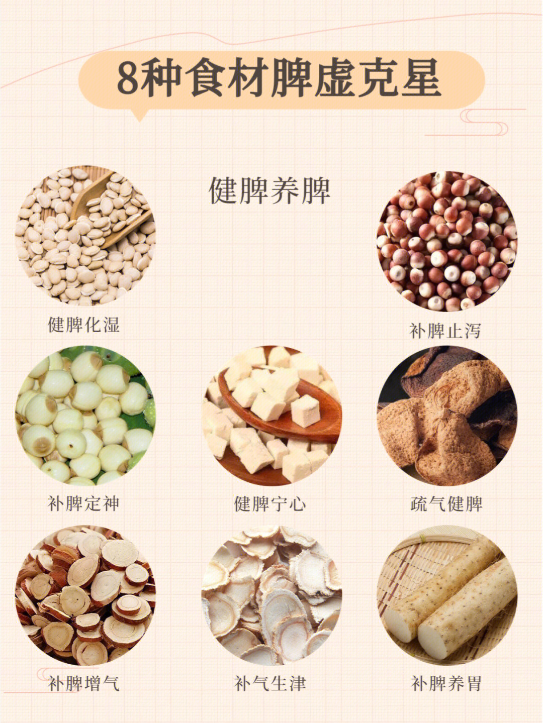 脾虚吃什么食物补最快图片