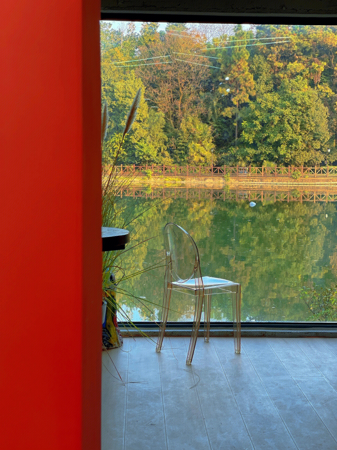合肥探店▏湖边画廊咖啡太有秋日氛围了吧