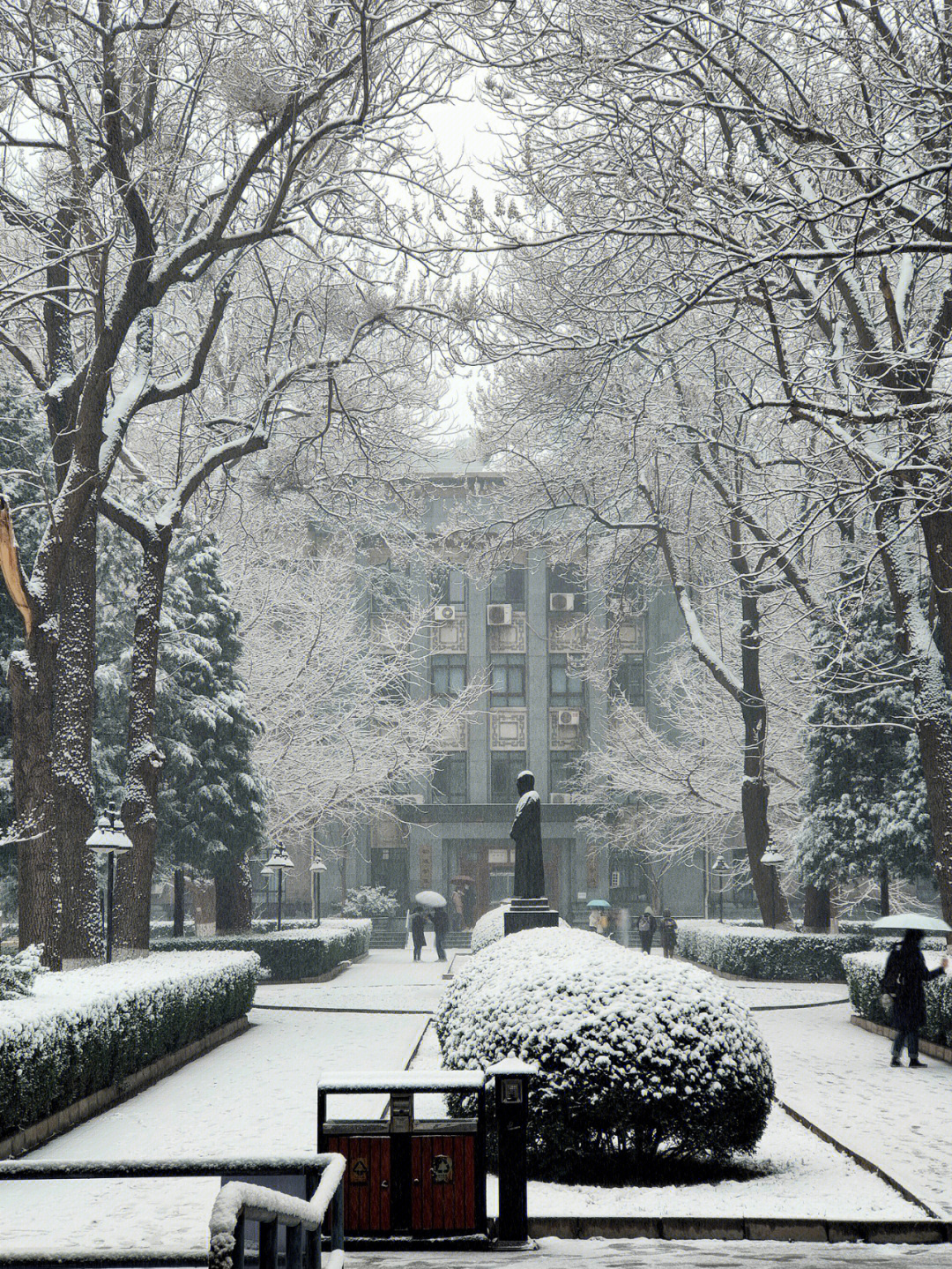 北京下雪丨来感受一场三月的雪