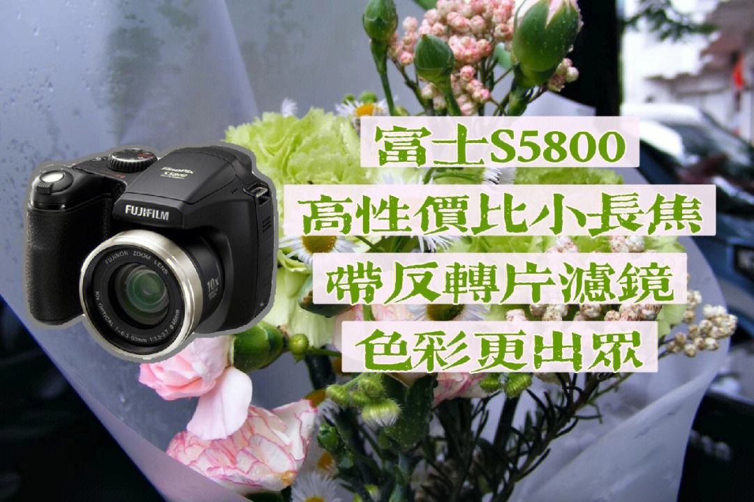相机富士s5800超高性价比小长焦色彩超出众
