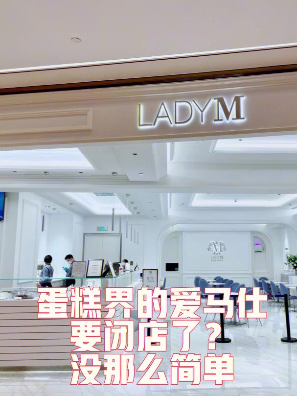 上海ladym图片