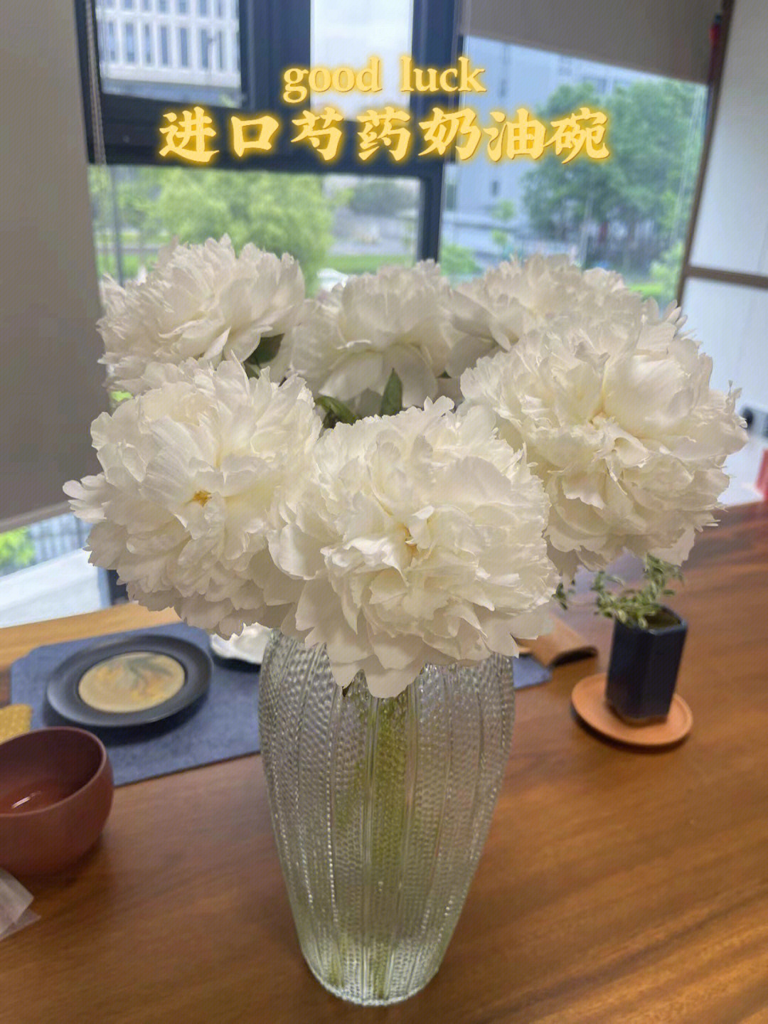 芍药花奶油丸图片