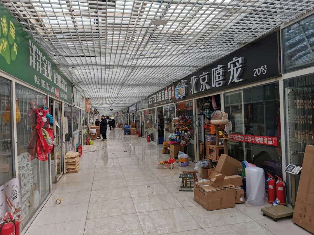 广州清平宠物市场图片