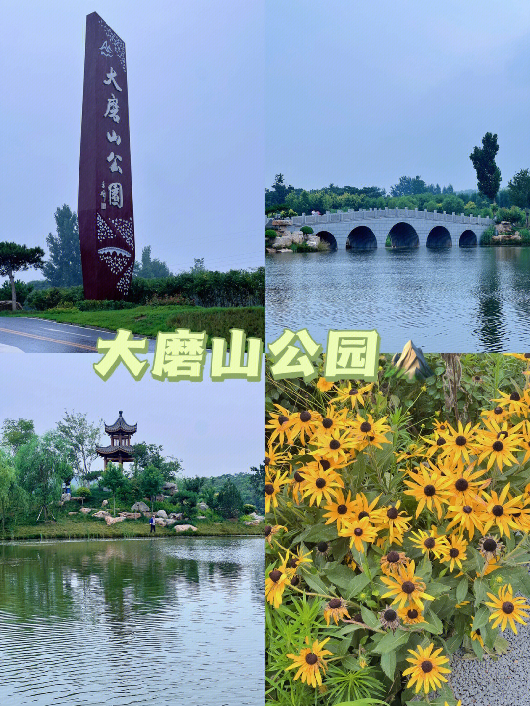 邯郸大学位置图片