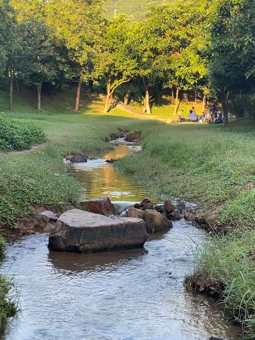 大岭山湿地公园图片