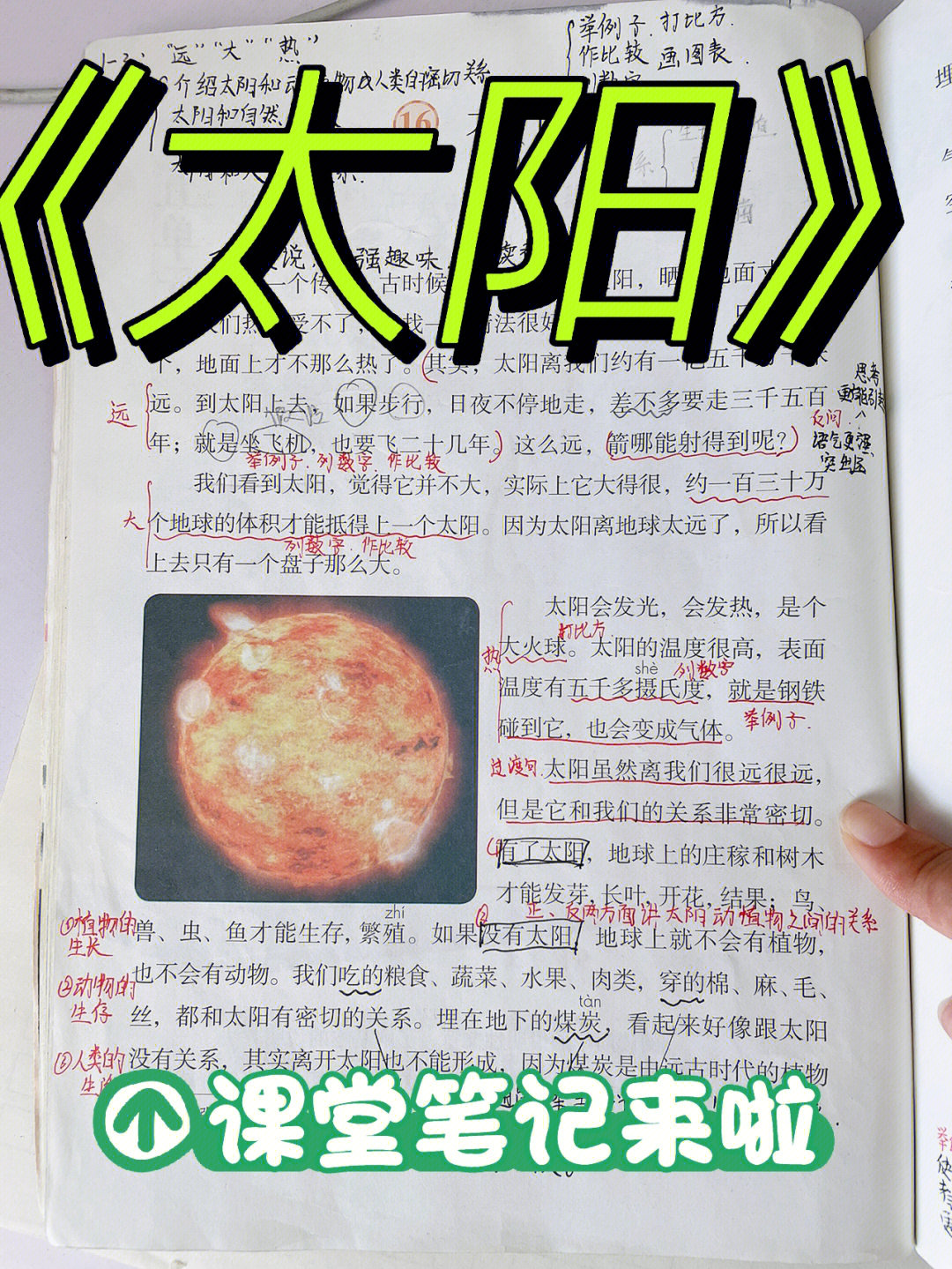 小学语文课堂笔记#开学#太阳#太阳课堂笔记#五年级上册太阳