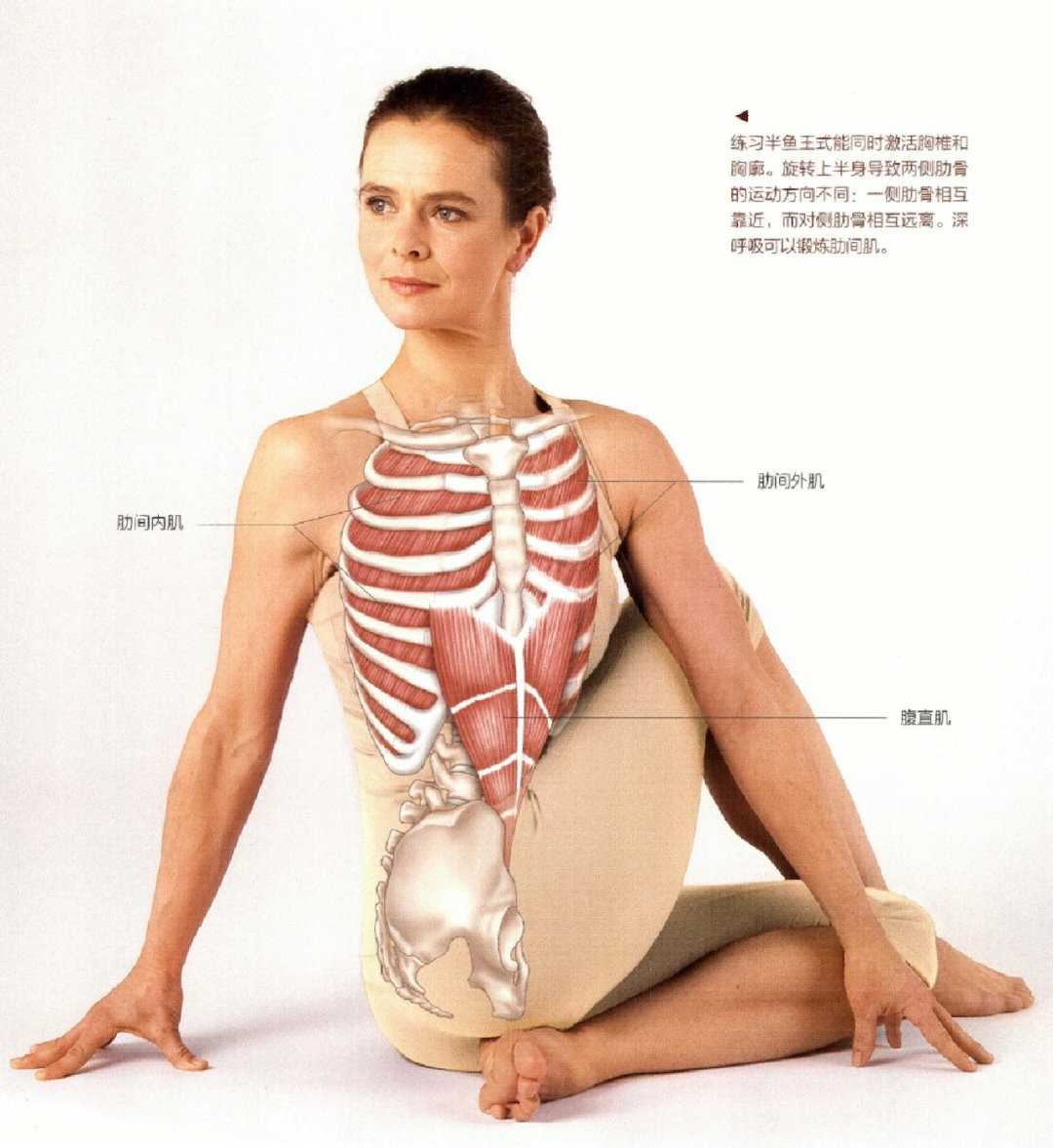 扭转体式2医学瑜伽学习