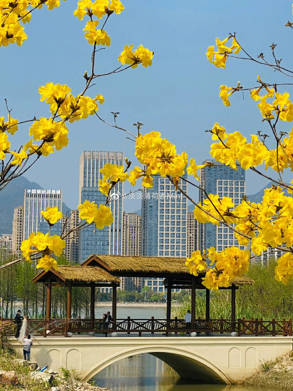 三江口湿地公园厦门图片